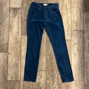 LOFT Deep Blue Velvet Trousers